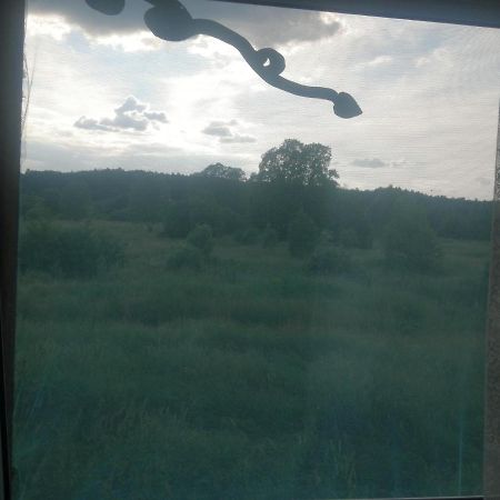 Ostoja Apartment Białowieża Екстериор снимка
