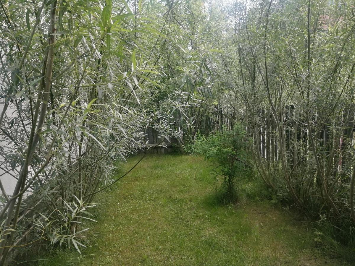 Ostoja Apartment Białowieża Екстериор снимка