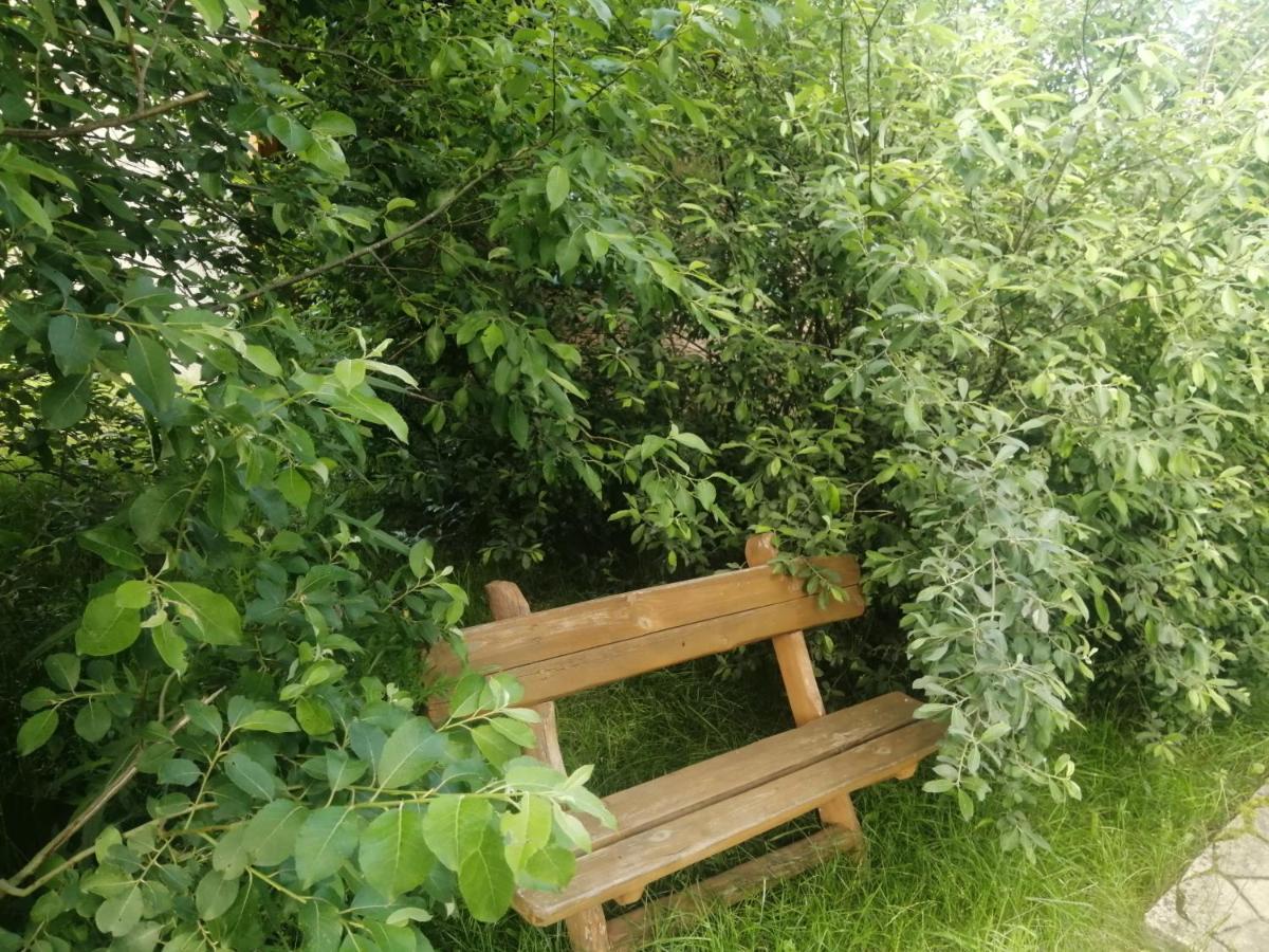 Ostoja Apartment Białowieża Екстериор снимка