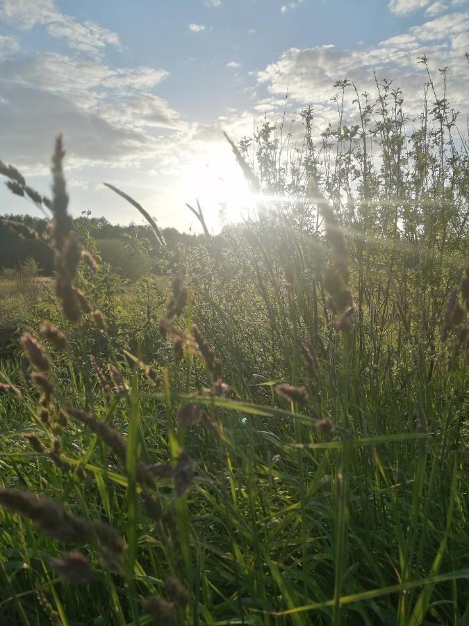 Ostoja Apartment Białowieża Екстериор снимка