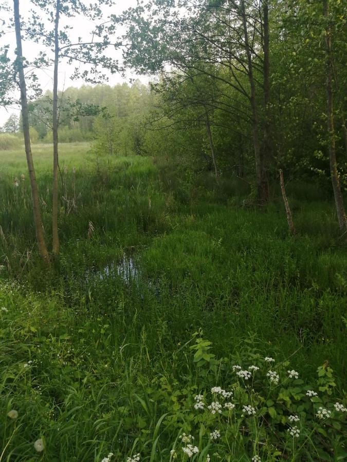 Ostoja Apartment Białowieża Екстериор снимка