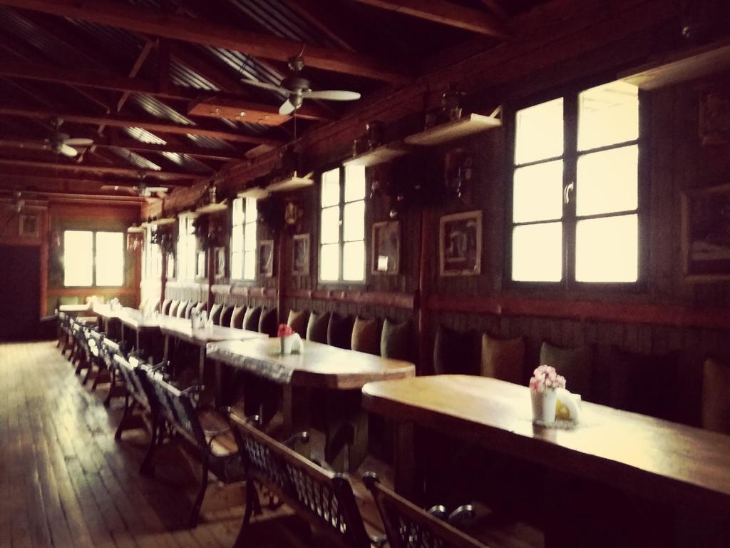 Ostoja Apartment Białowieża Екстериор снимка
