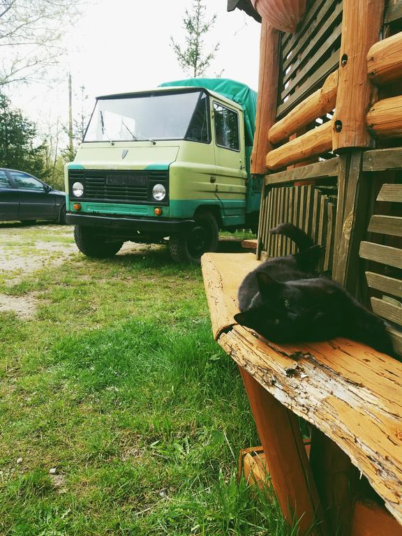 Ostoja Apartment Białowieża Екстериор снимка