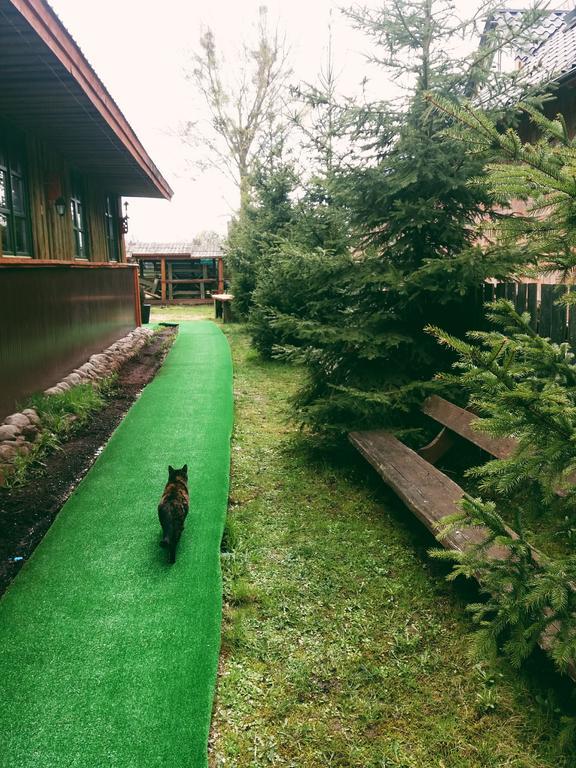 Ostoja Apartment Białowieża Екстериор снимка
